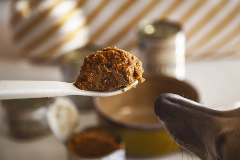 Menú BIO cordero 400g