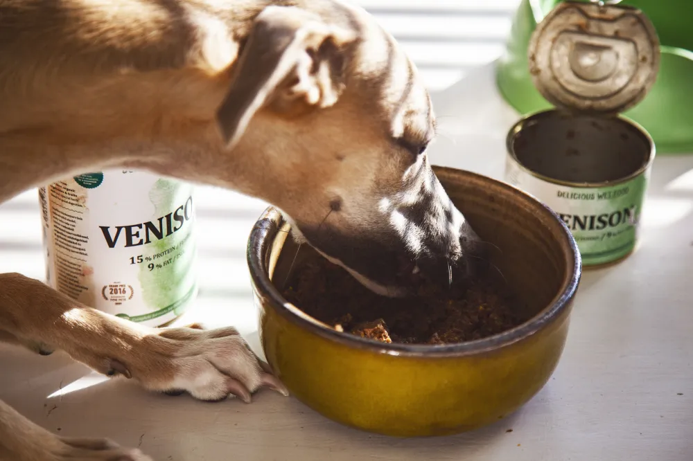 Menú ciervo salvaje 400g