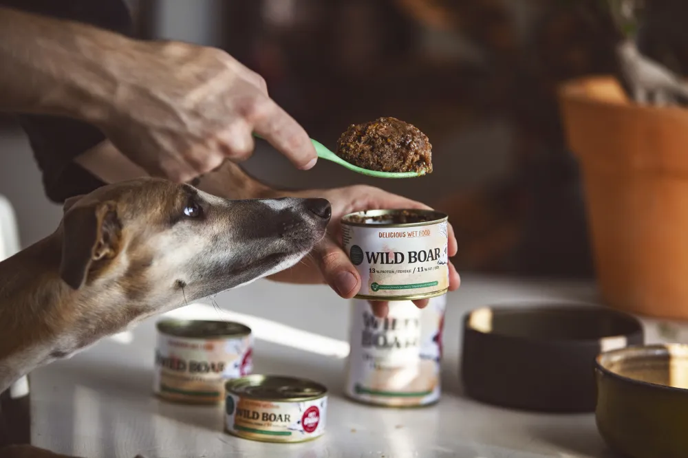 Menú jabalí salvaje 400g