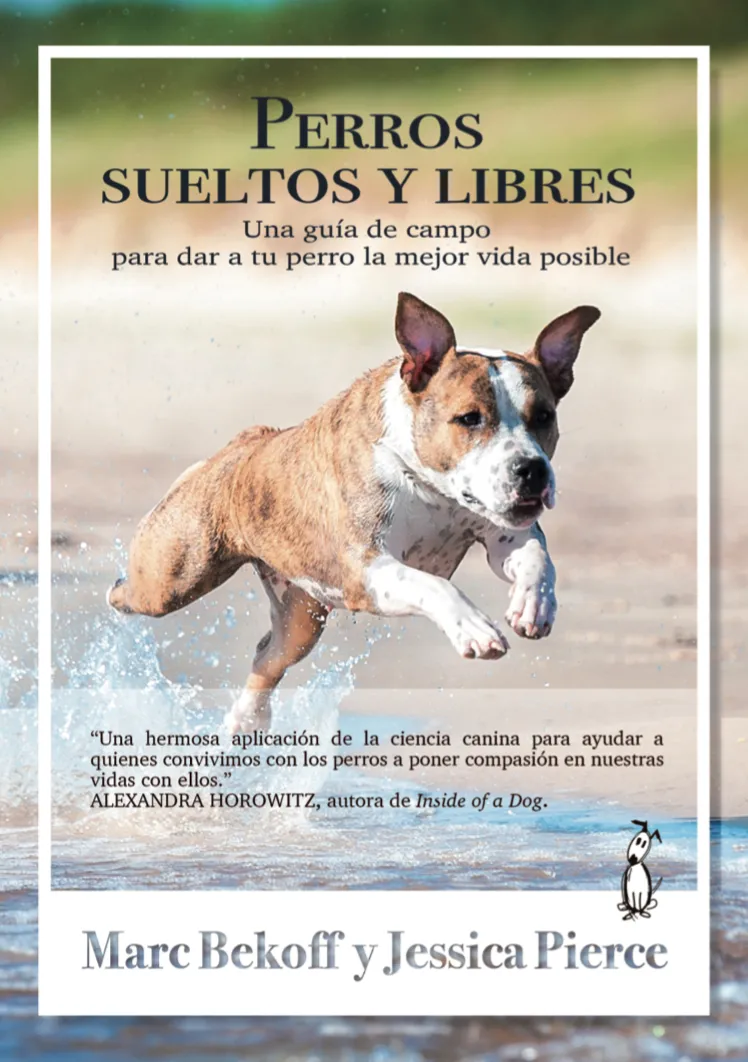 Perros sueltos y libres