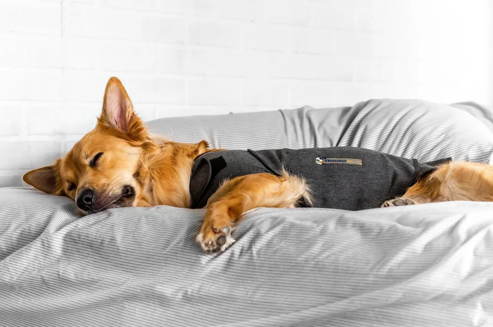 Thundershirt - Camiseta antiestrés