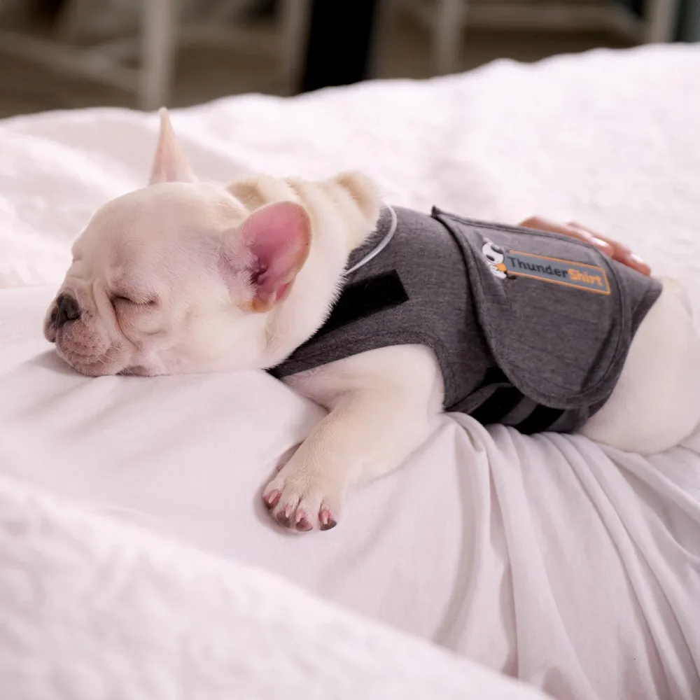 Thundershirt - Camiseta antiestrés