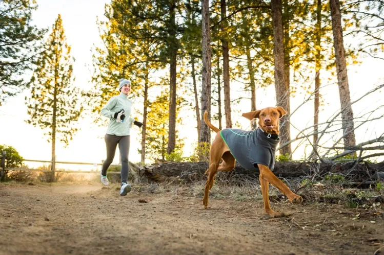 Climate Changer Twilight grey S