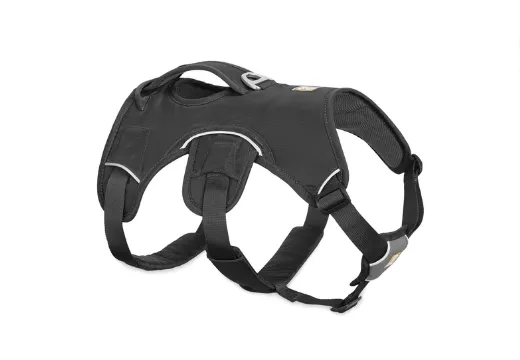 Arnés tres puntos Web Master gris oscuro