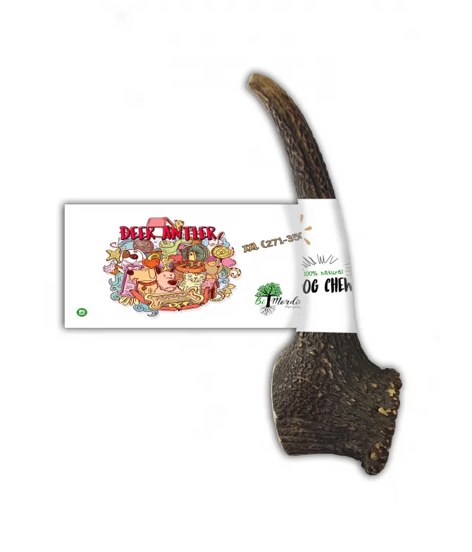 Asta entera de ciervo 