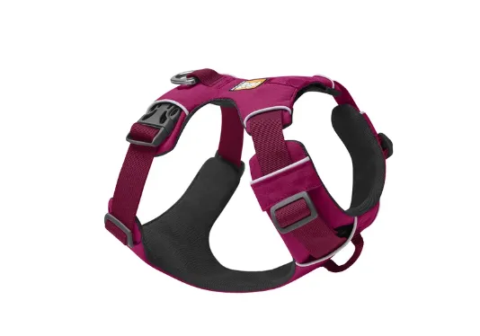 Front Range arnés Hibiscus Pink