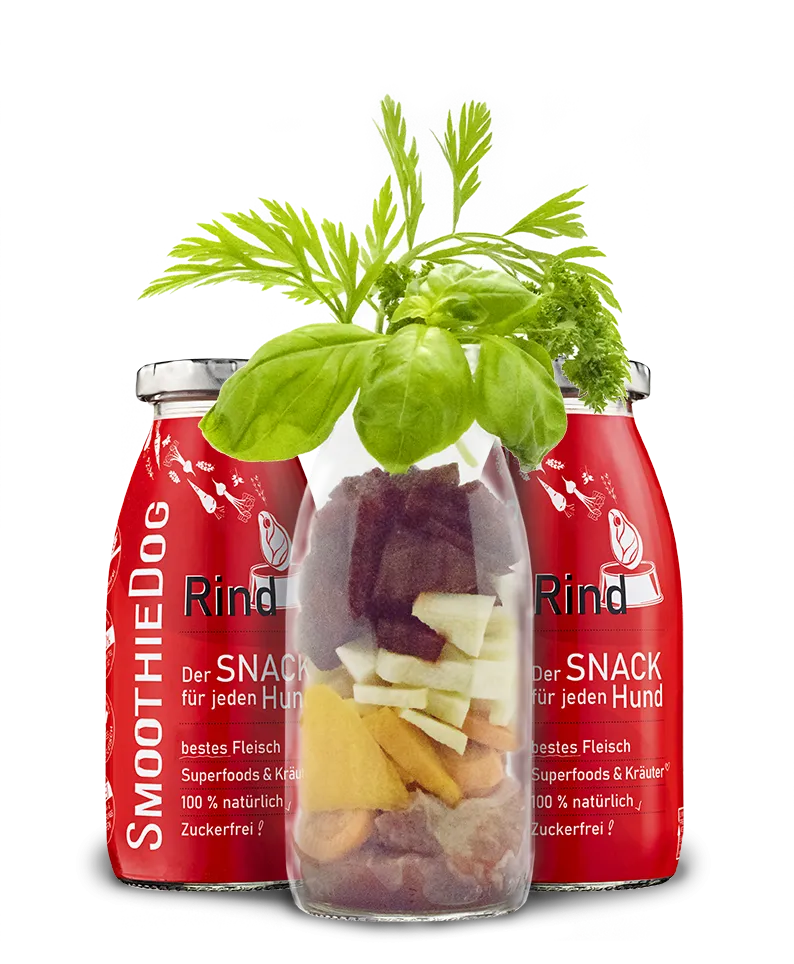 Smoothie Vacuno 250ml