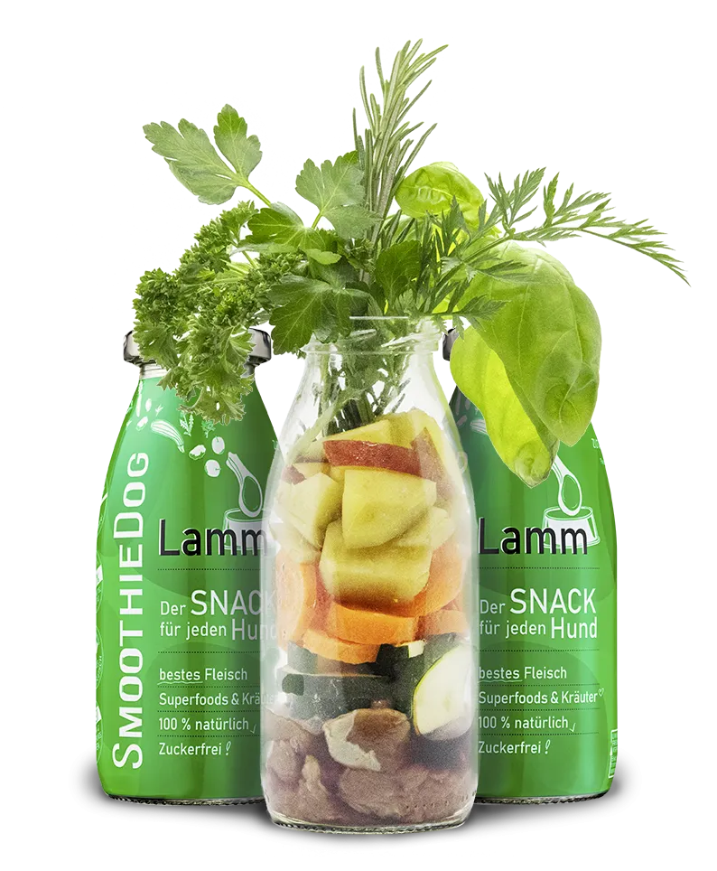 Smoothie Cordero 250ml