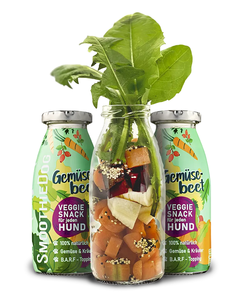 Smoothie Vegetal 250ml