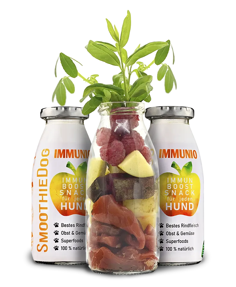 Smoothie Inmuno ternera 250ml