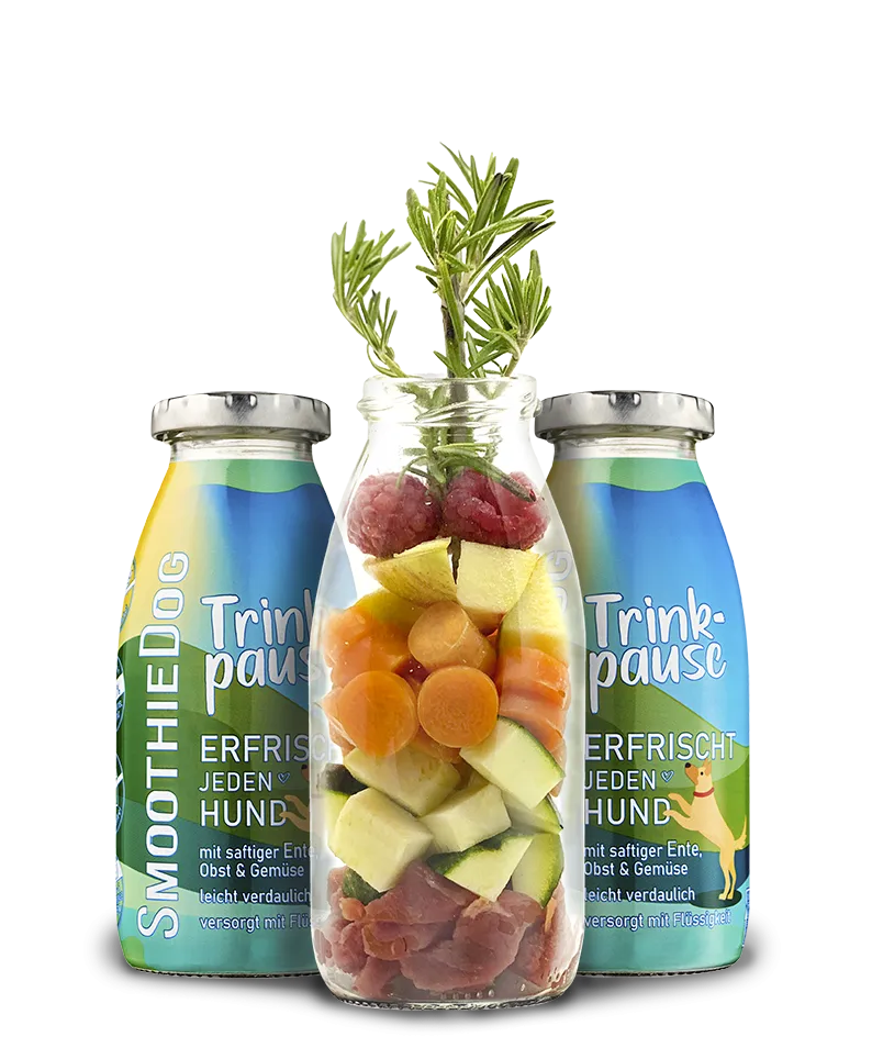 Smoothie Pausa de pato 250ml