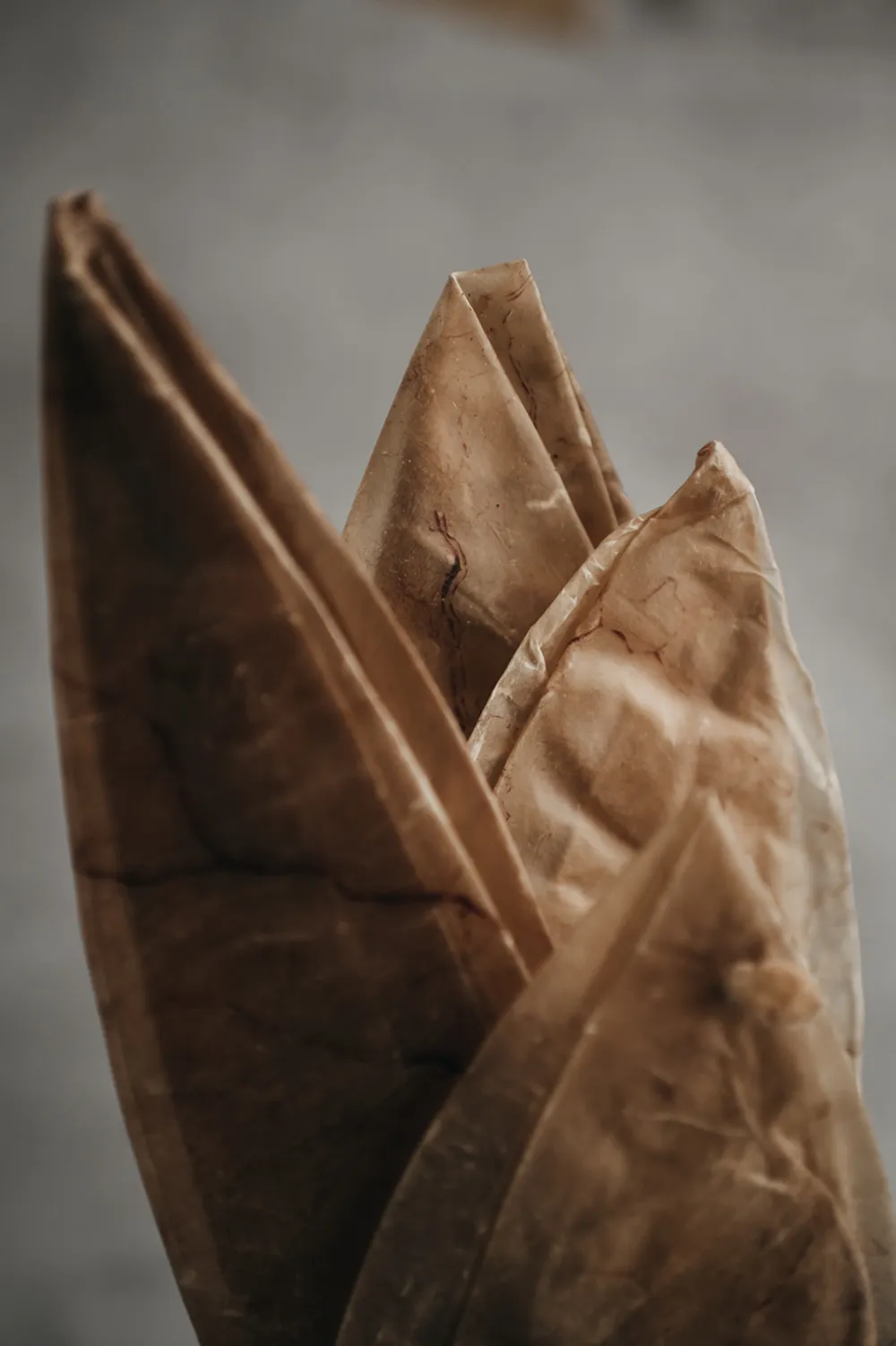 Vejiga de Ternera 250g