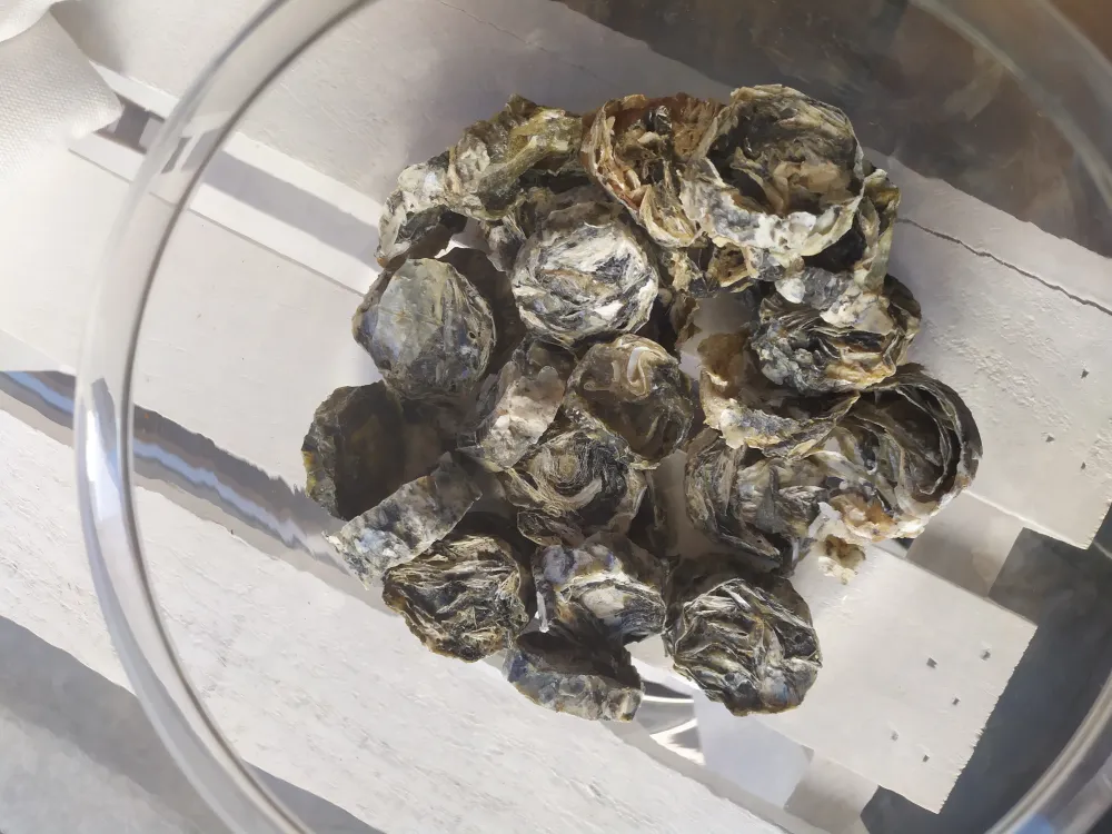 Sushi de bacalao 100g