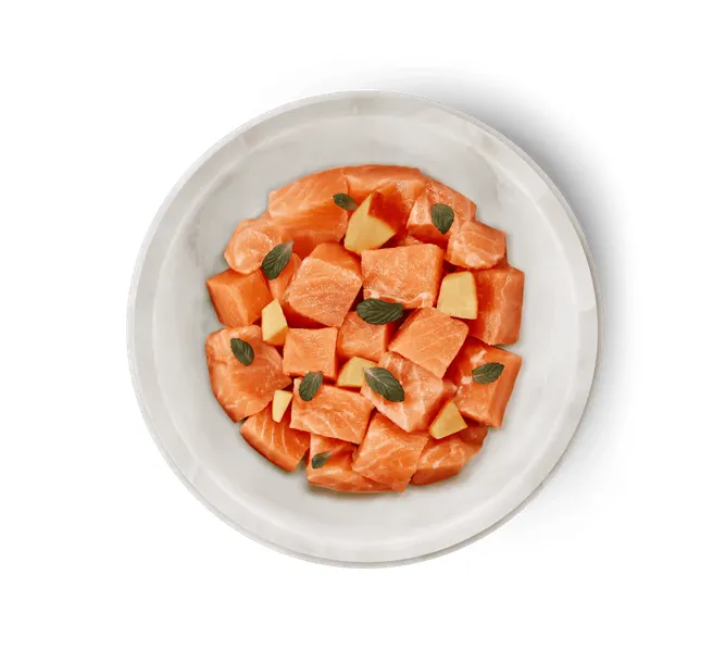 Menú gato de salmón 80g