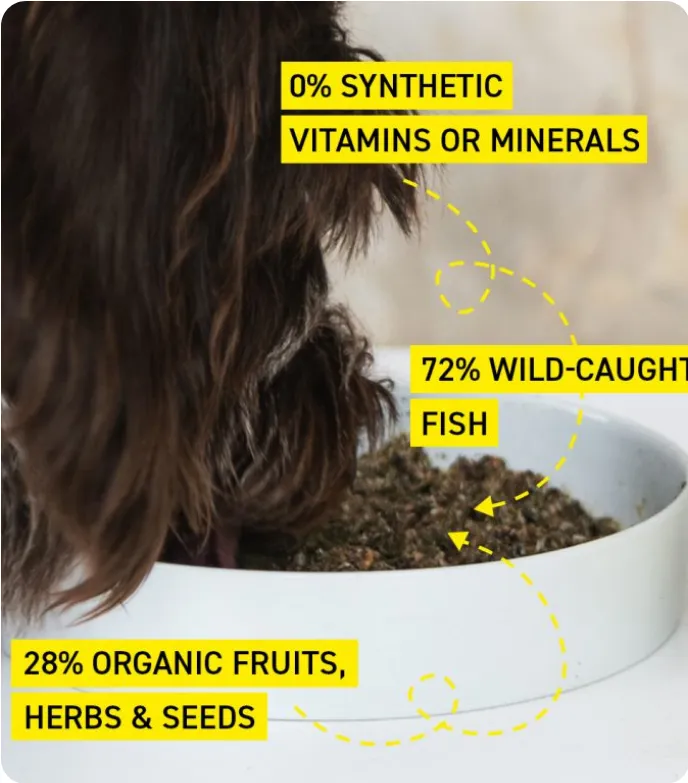 Menú orgánico deshidratado 72% pescado salvaje 1Kg