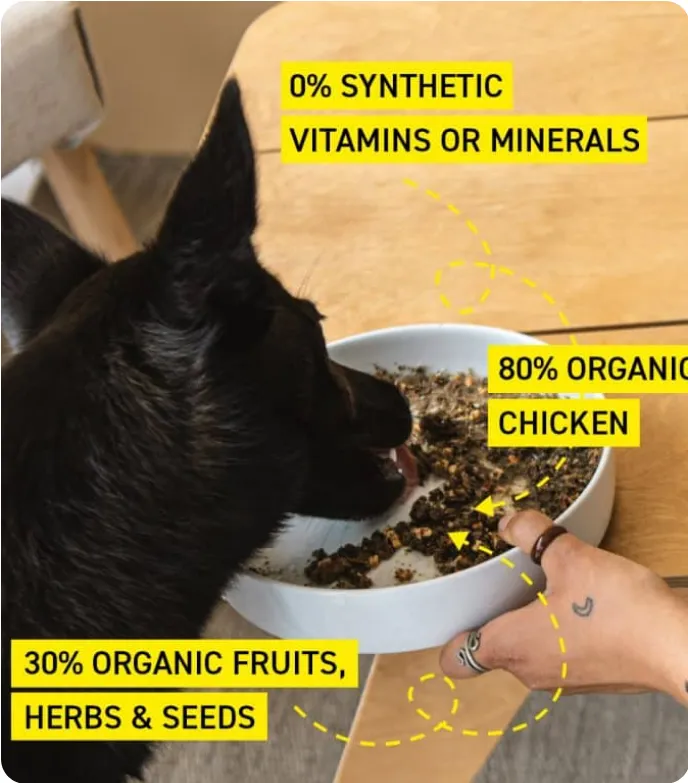 Menú orgánico deshidratado 80% pollo 1Kg