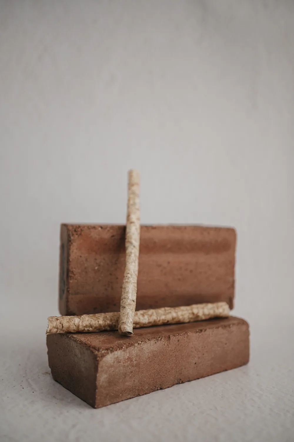 Sticks vacuno y tripa verde (1Ud)