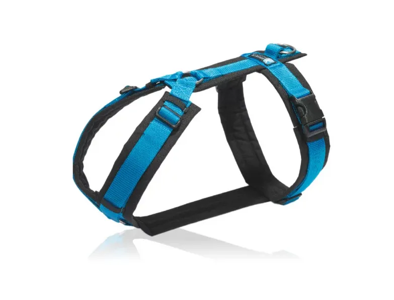 Arnés Fun negro/azul