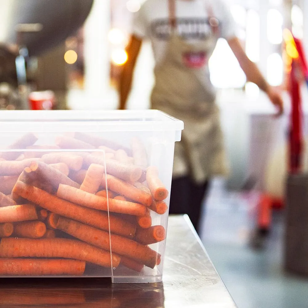 Menú BIO ganso 400g