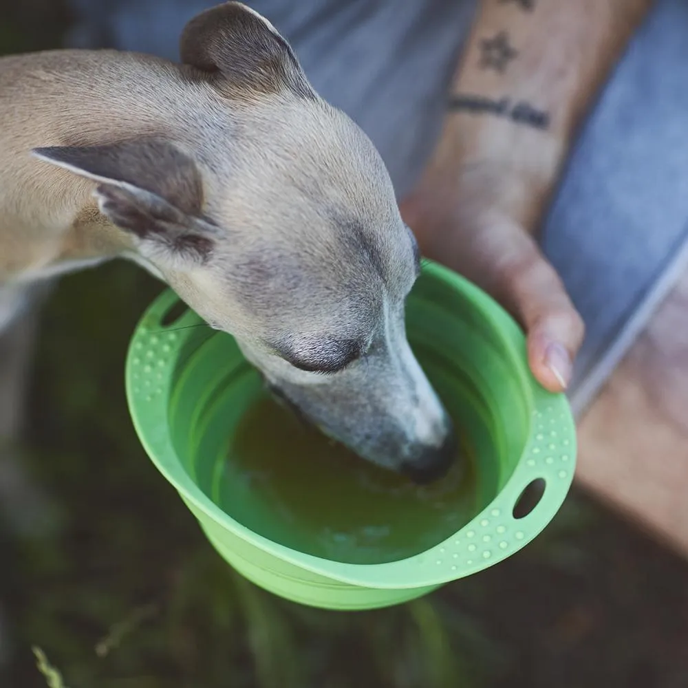 Caldo BIO pollo 300ml