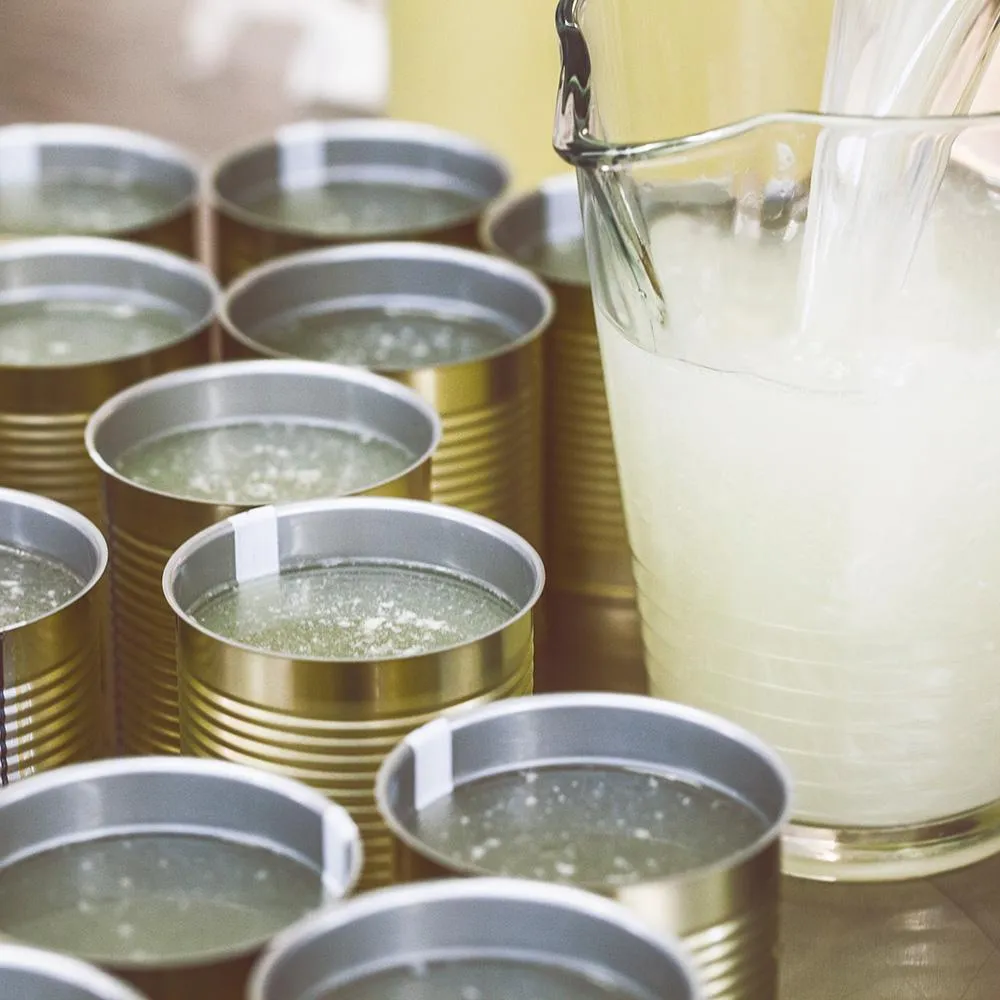 Caldo BIO ganso 300ml