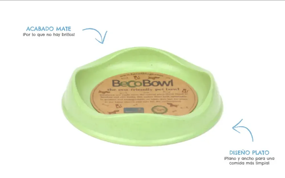 Bowl ecológico para gatos 