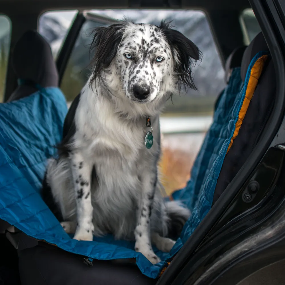 Funda para coche impermeable