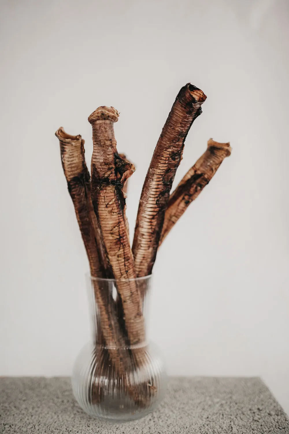 Rollies de avestruz 250g