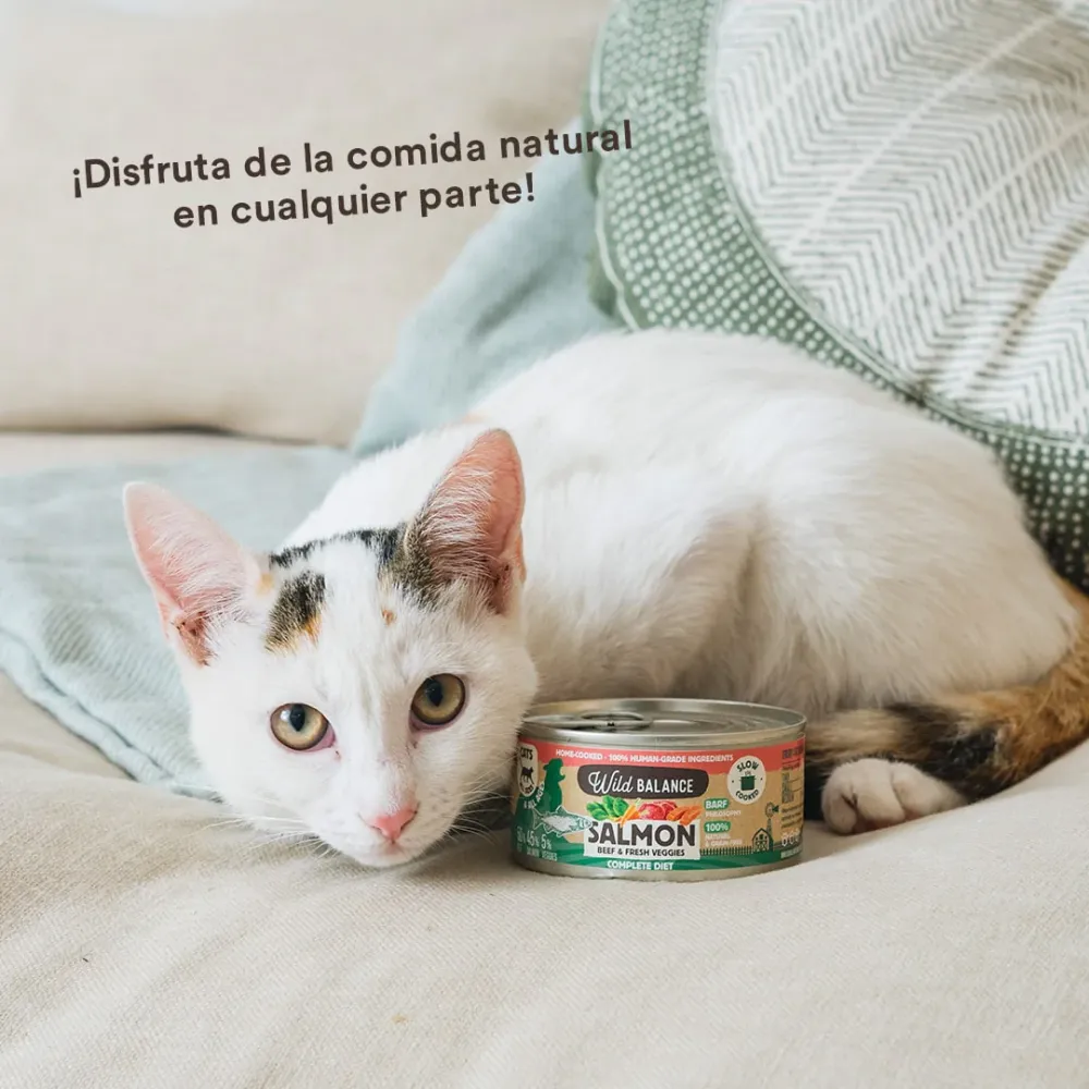 Menú gato salmón y ternera con verduras frescas cocinado al vapor 120g