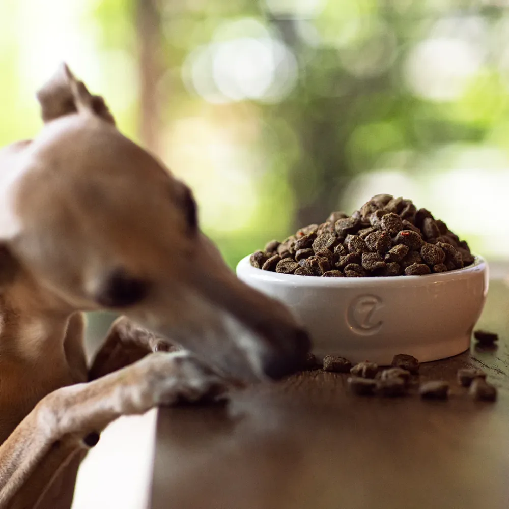 Menú al horno BIO aves de corral 2kg