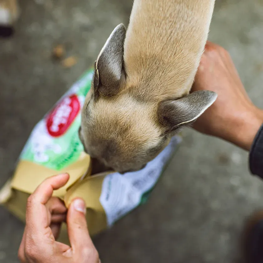 Menú al horno ciervo 2Kg