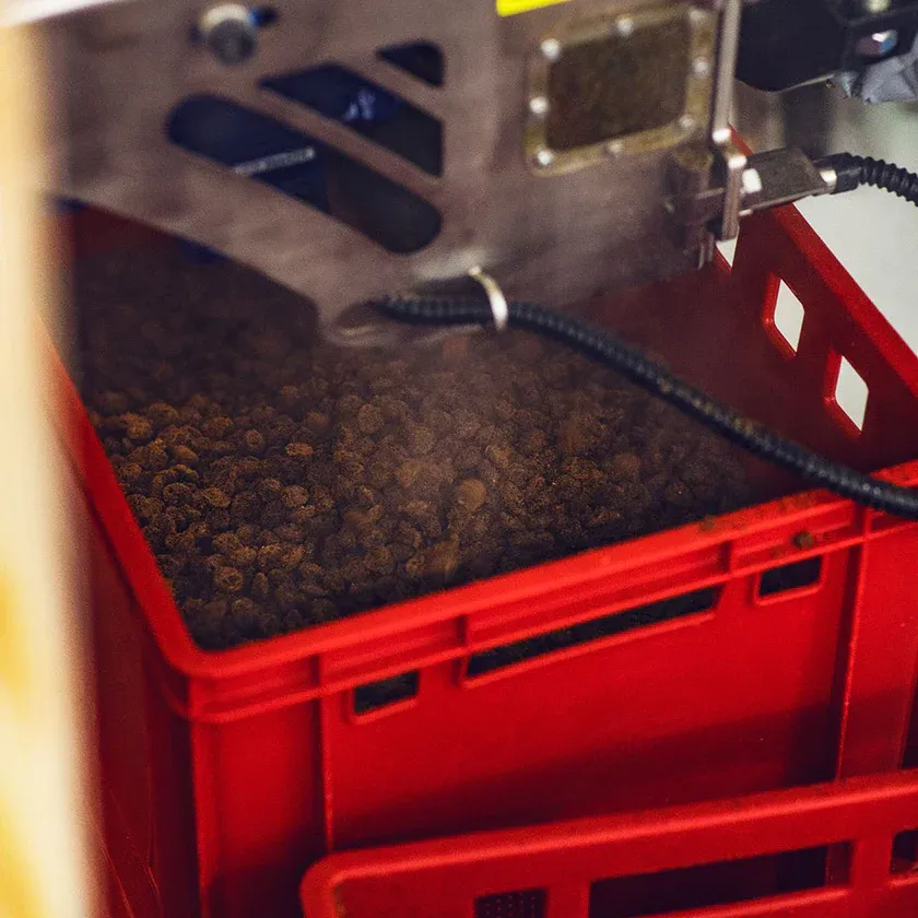 Menú al horno ciervo 2Kg