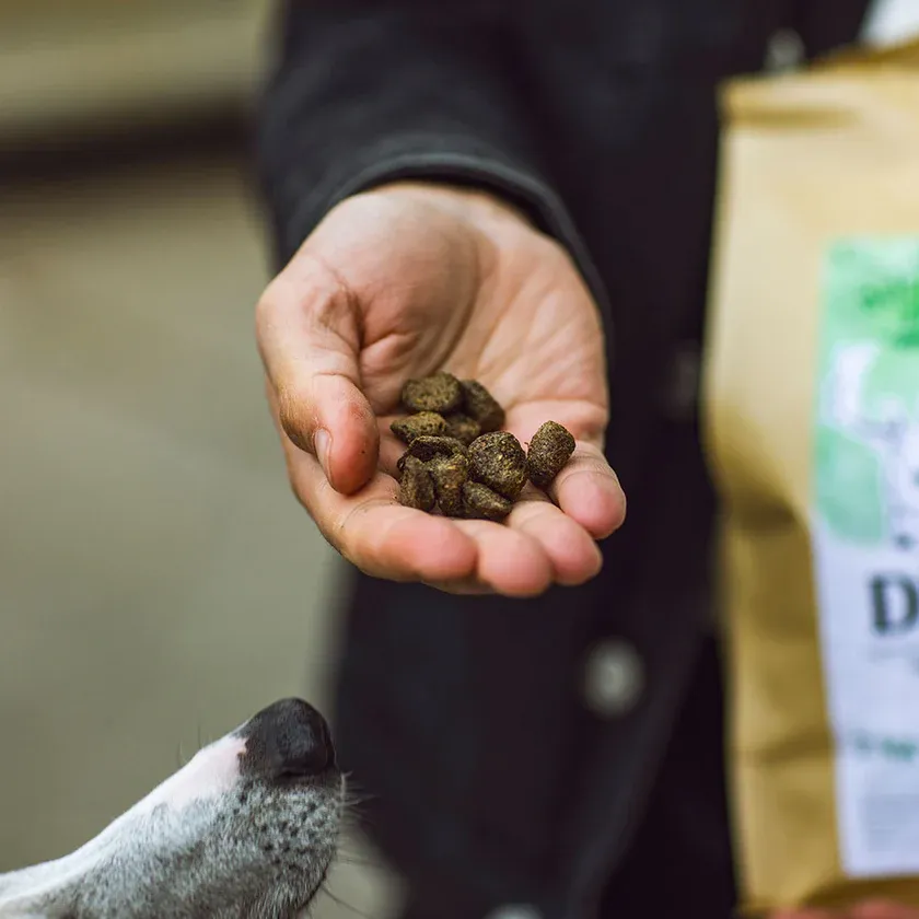 Menú al horno ciervo 2Kg