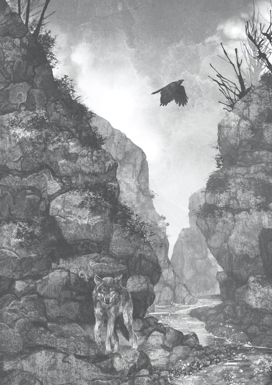 Un lobo llamado Wander. La historia real de un lobo extraordinario. Rosanne Parry.