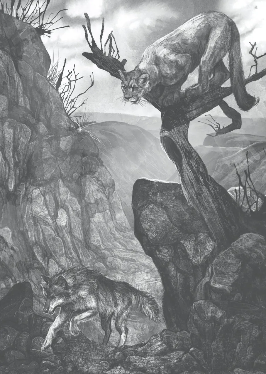 Un lobo llamado Wander. La historia real de un lobo extraordinario. Rosanne Parry.