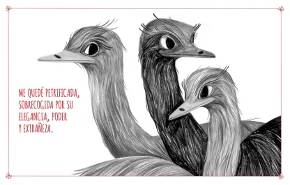 Cómo ser una buena criatura. Memorias de una naturalista a través de trece animales. Sy Montgomery.