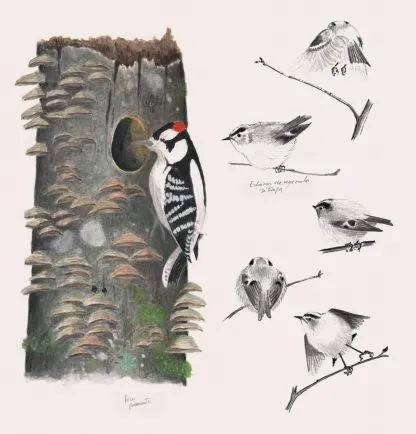 El diario del naturalista. Bernd Heinrich • Nathaniel T. Wheelwright.