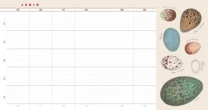 El diario del naturalista. Bernd Heinrich • Nathaniel T. Wheelwright.