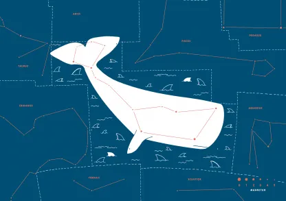 Atlas de las constelaciones. Las historias que nos cuentan las estrellas. Hannah Waldron • Susanna Hislop.