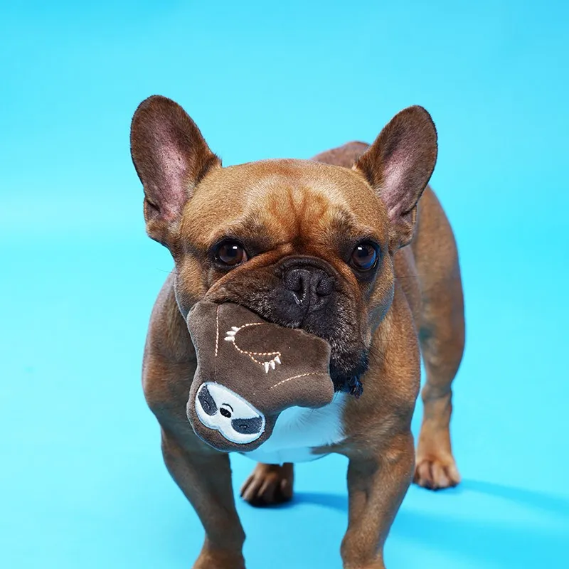 Osos perezosos pack 3