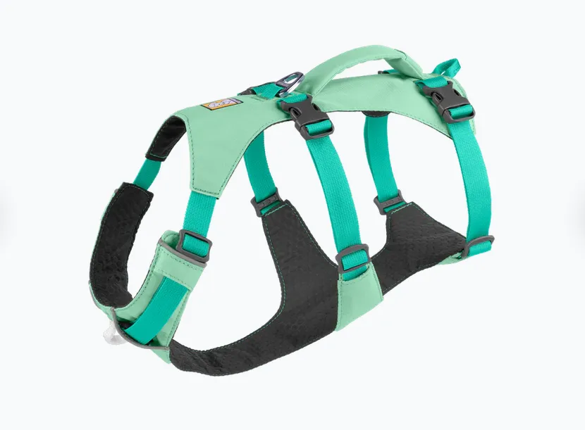 Arnés tres puntos Flagline Sage Green