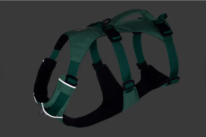 Arnés tres puntos Flagline Sage Green