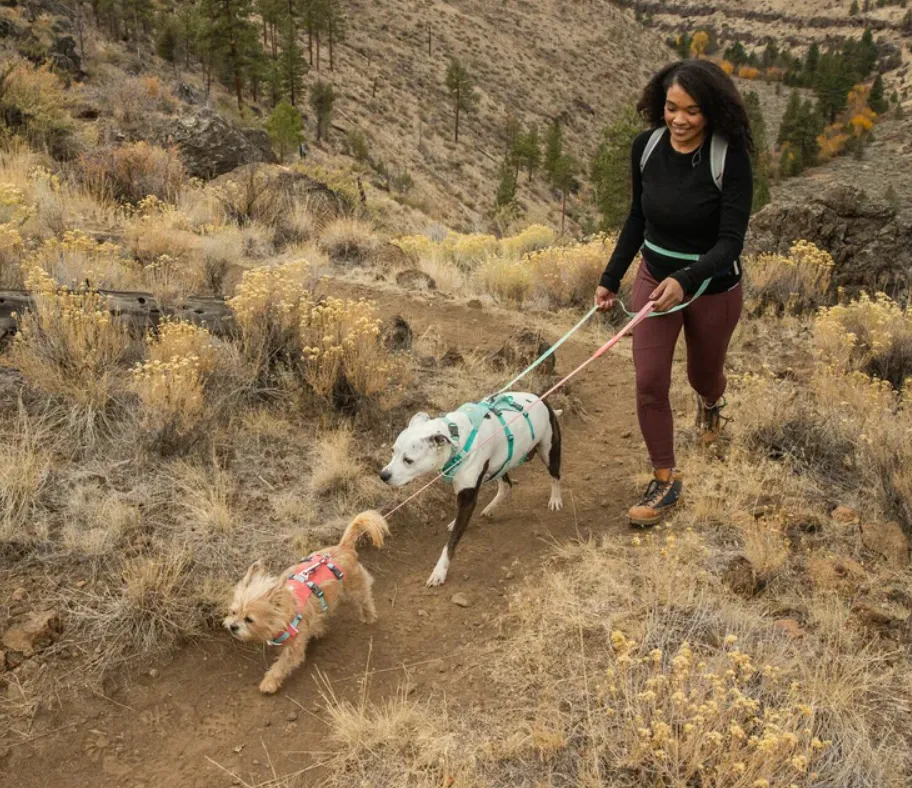 Arnés tres puntos Flagline Sage Green