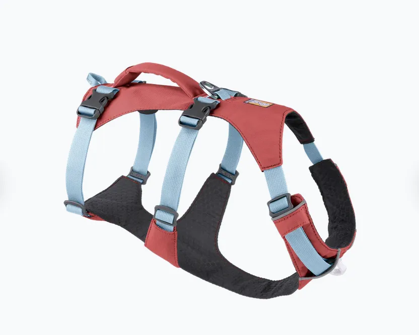 Arnés tres puntos Flagline Salmon Pink