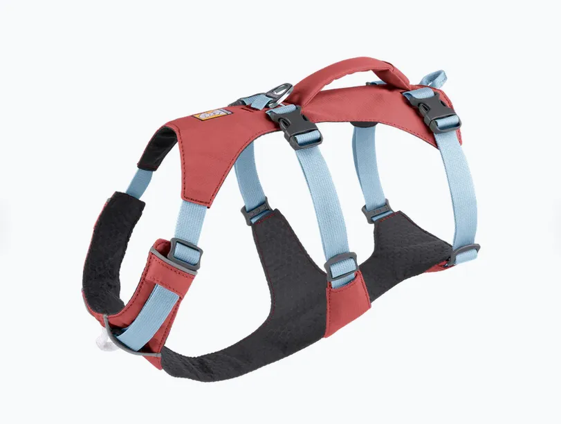 Arnés tres puntos Flagline Salmon Pink