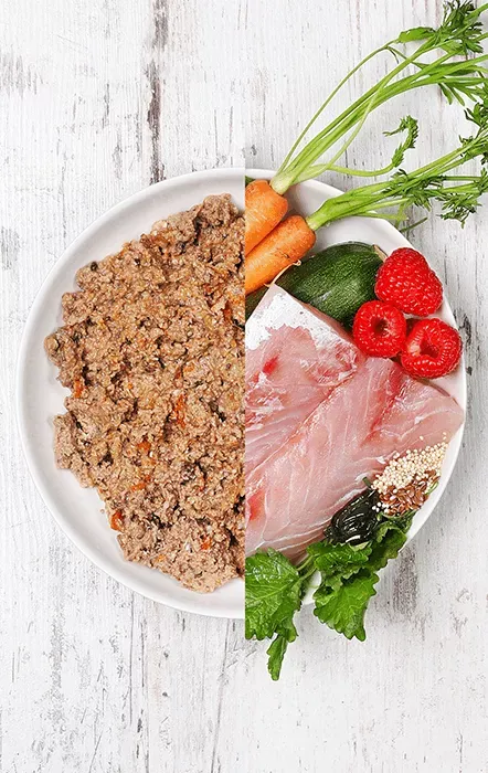 Menú de pescado con amaranto, zanahoria y diente de león 400g