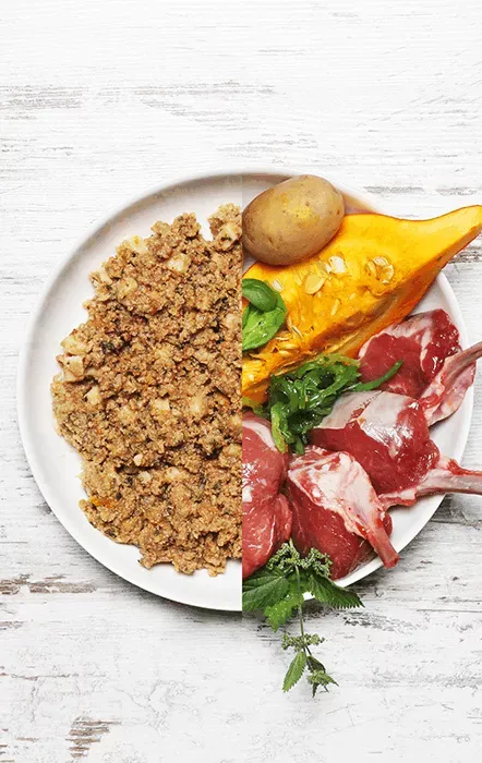 Menú de cordero con calabaza, albaricoque y patata 400g