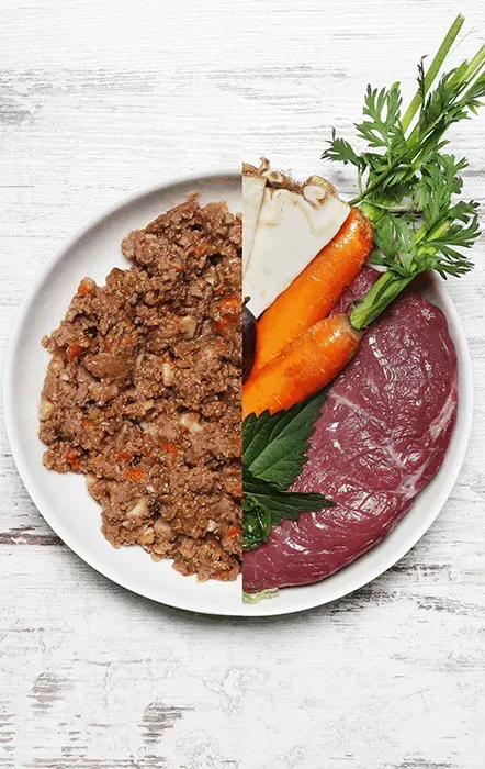 Menú de venado con patata, ciruela y apio 400g