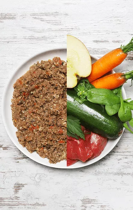 Menú de vacuno con manzana, espinaca y calabacin 400g