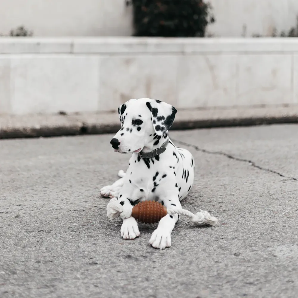 Rub-Rugby Spike & Rope